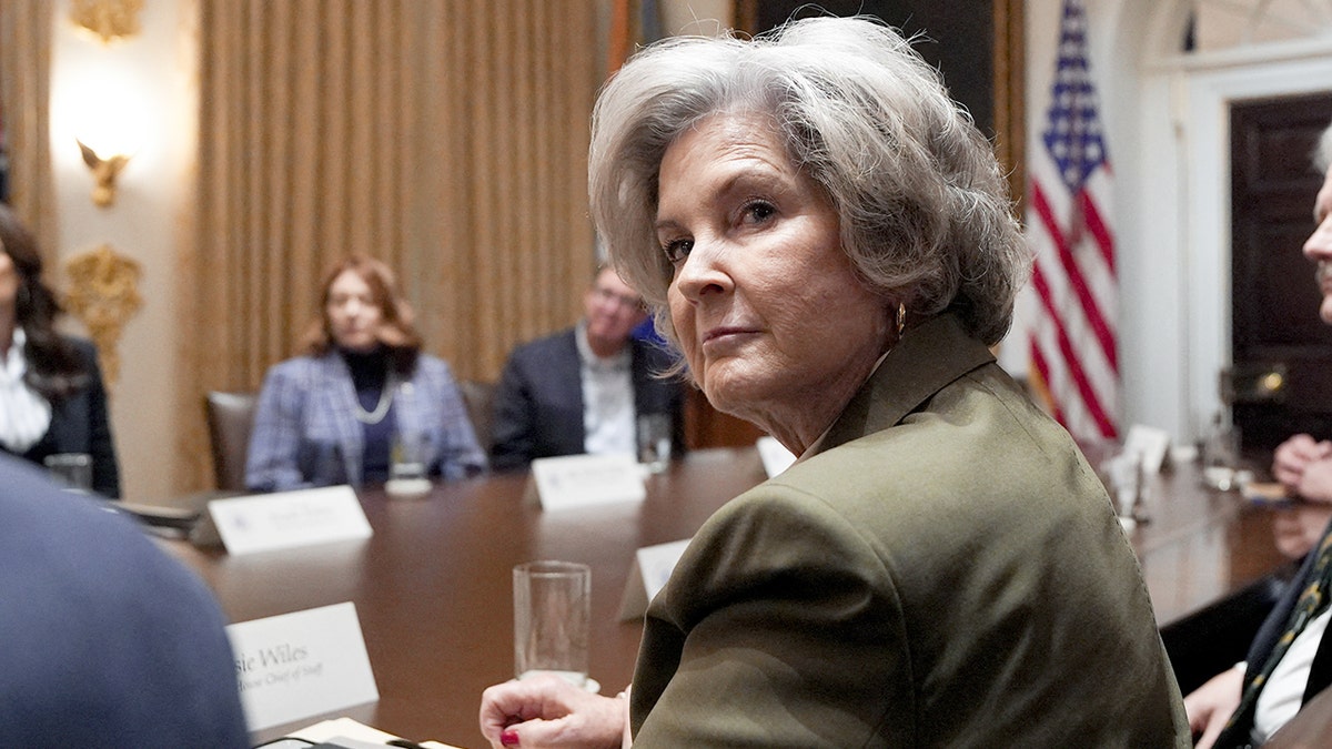White House Chief of Staff Susie Wiles