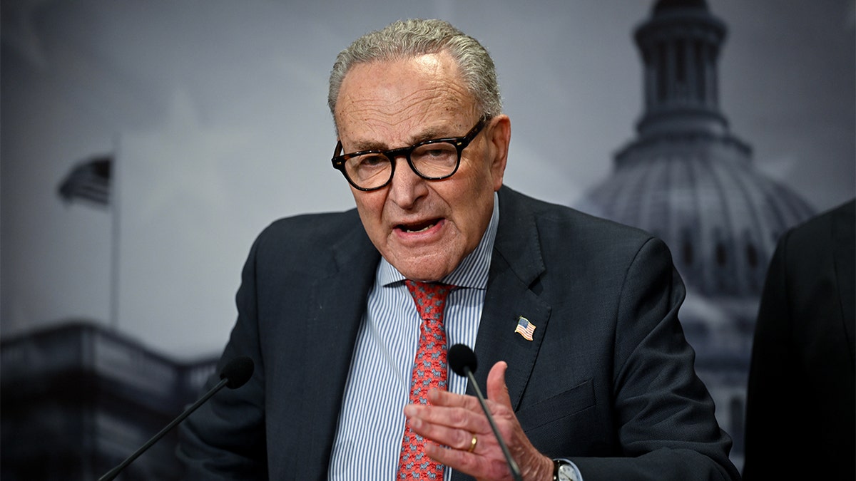 Senate Minority Leader Chuck Schumer, D-N.Y.