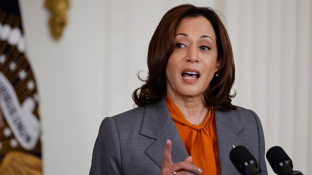 Ex-Vice President Kamala Harris