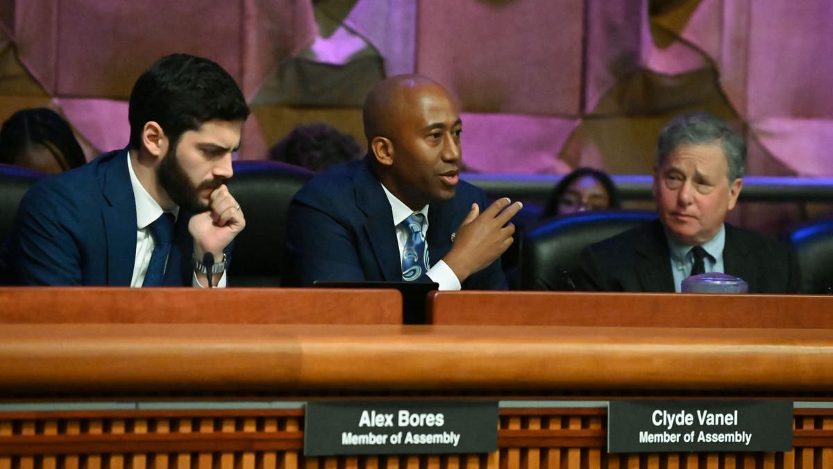 NY State Assemblyman Alex Bores during hearing on artificial intelligence.