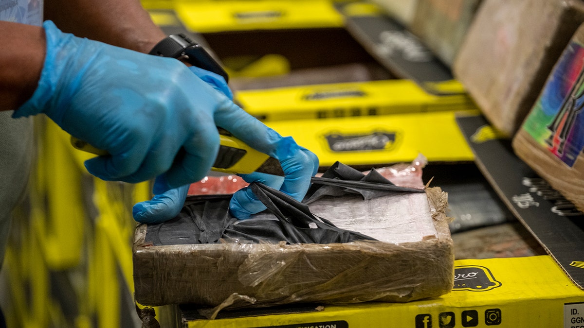 hands in blue gloves opens cocaine package
