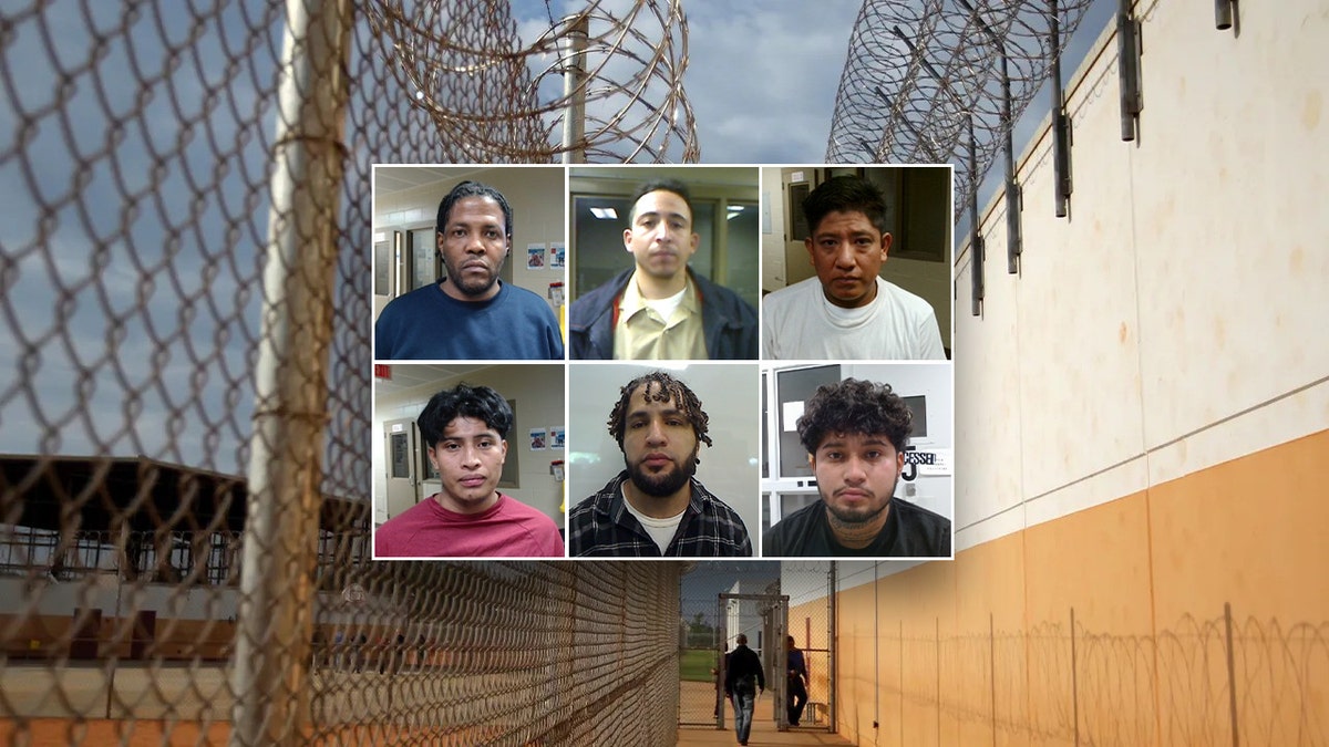 Lineup of criminal illegal aliens arrested in Virginia