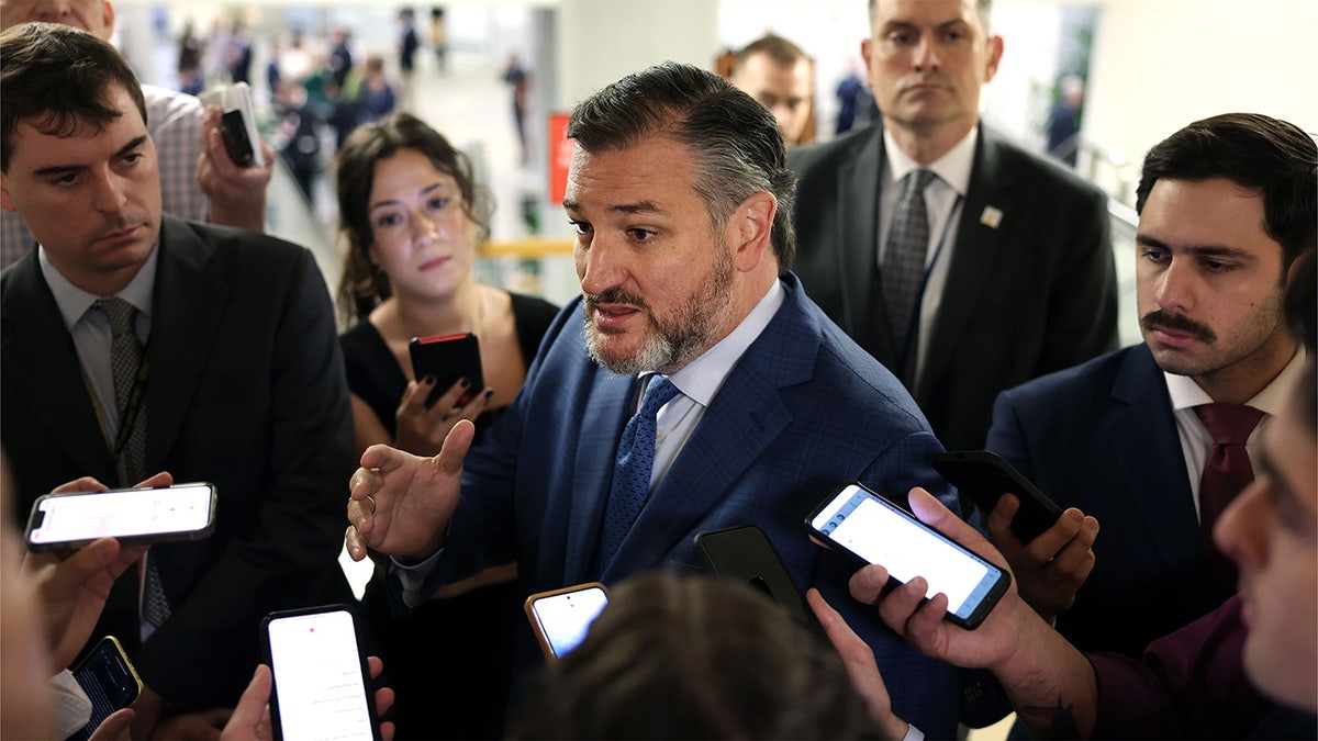 Senator Ted Cruz speaks to reporters in a hallway
