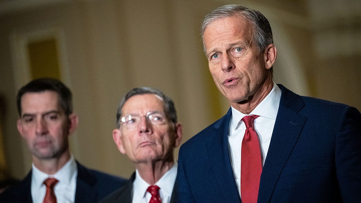 Senate Majority Leader John Thune, R-S.D., speaks after Senate GOP policy lunch.