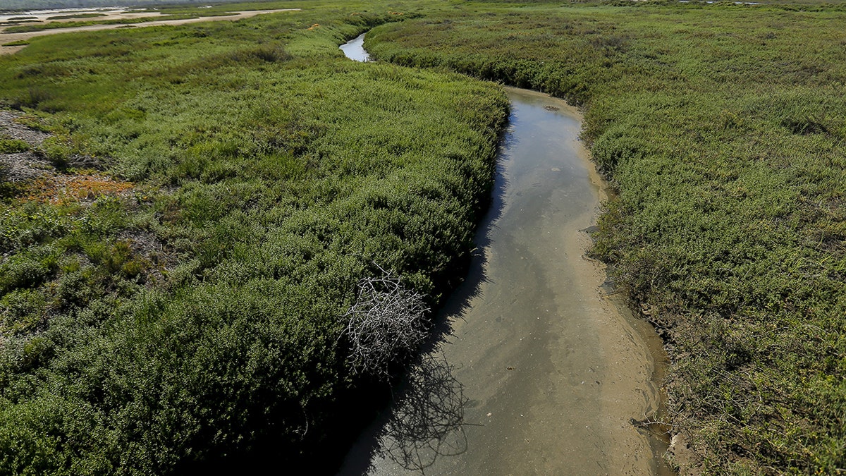 Sewage-fouled runoff from the Tijuana River has prompted authorities call for a solution to fix the issue. 