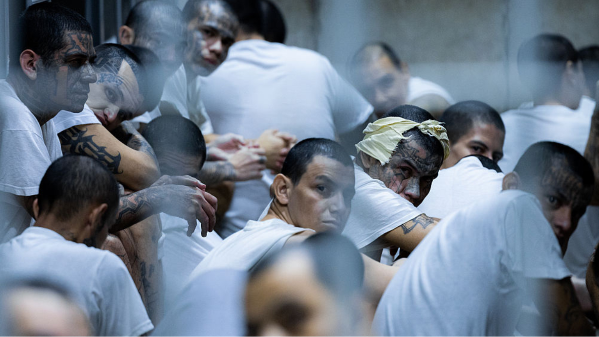 Tren de Aragua gang members