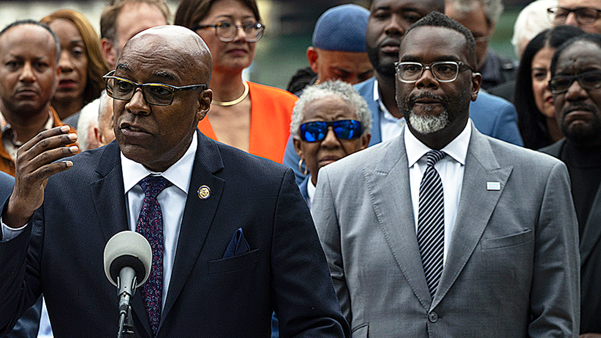 Kwame Raoul and Johnson