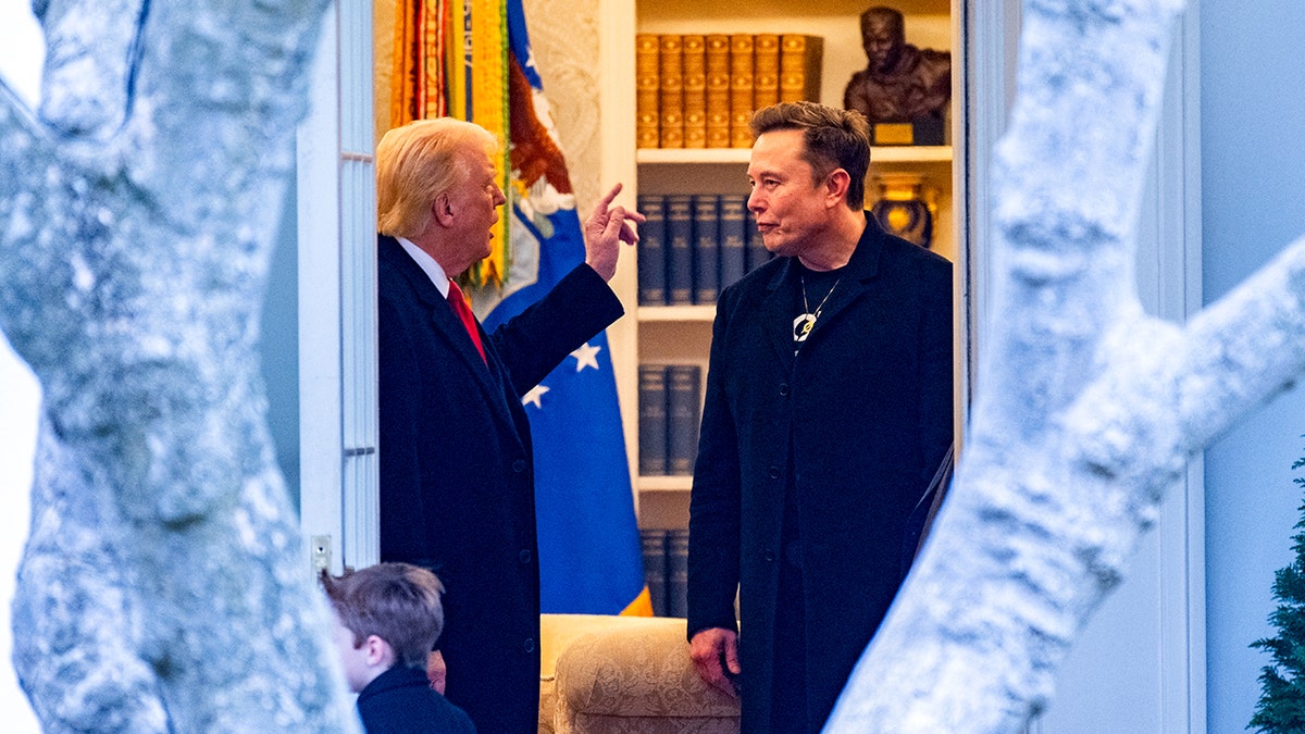 Trump and Musk speak in the White House.