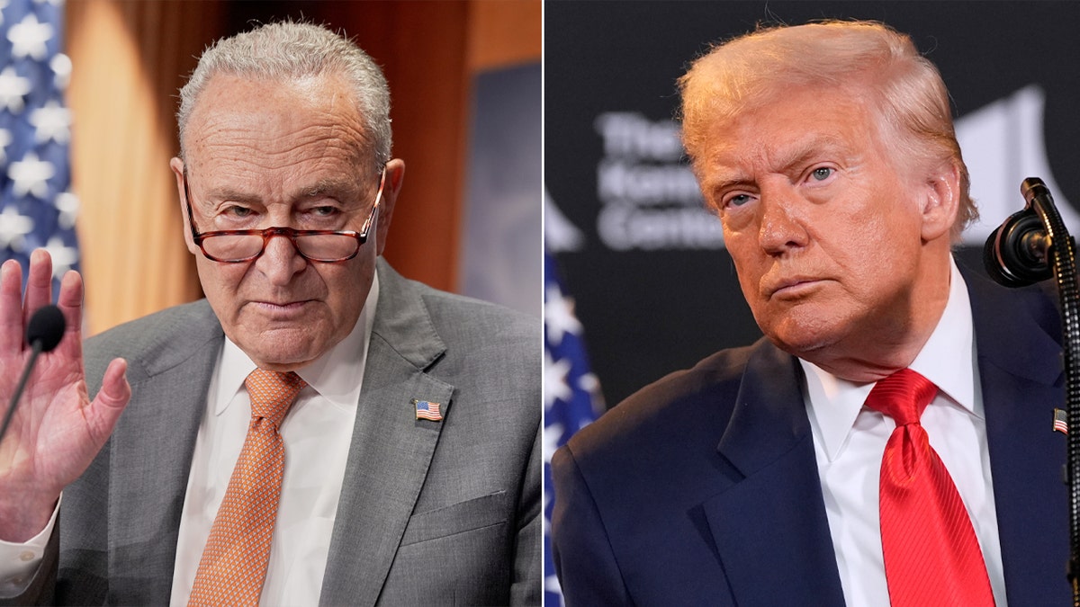 Chuck Schumer and Donald Trump