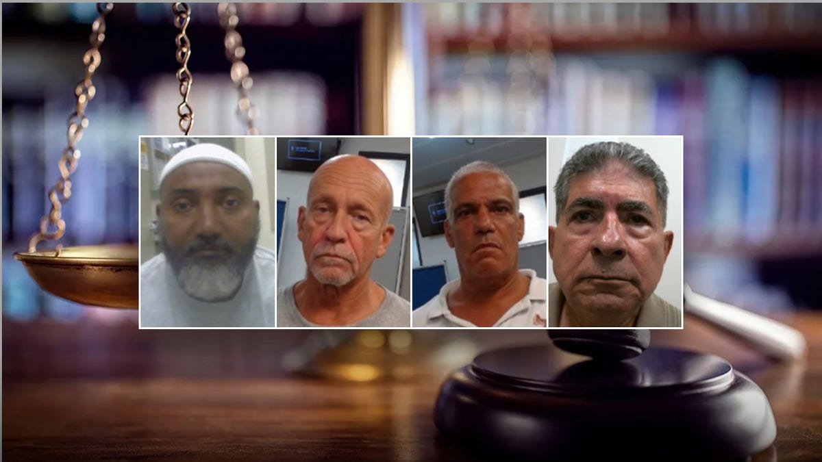 Mugshots of four illegal immigrants