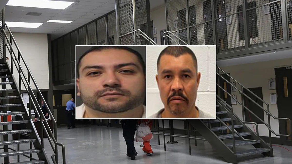 Two illegal aliens arrested recently for sexual abuse of minors and the elderly