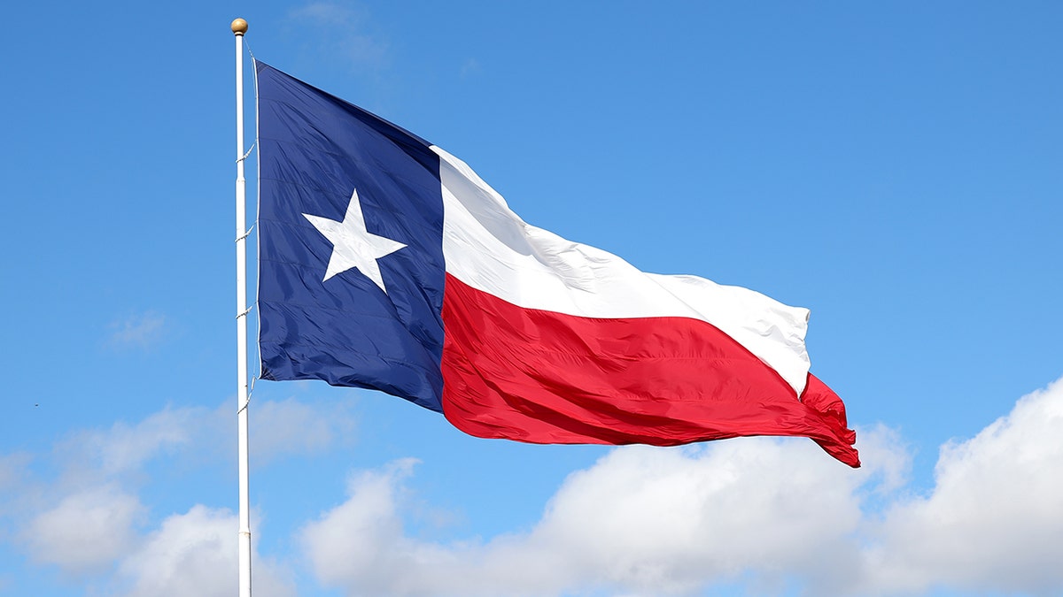 Texas state flag