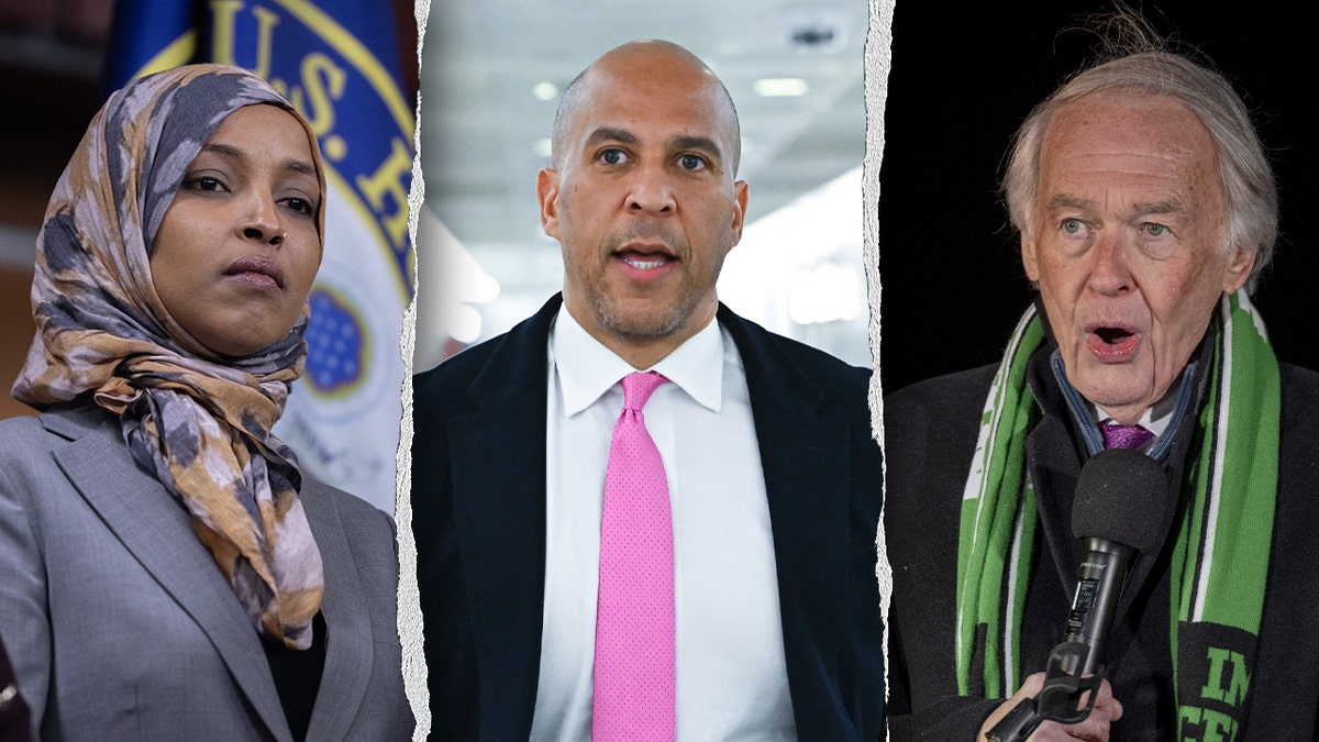 Democratic Senators who accused Trump of lying during the State of the Union