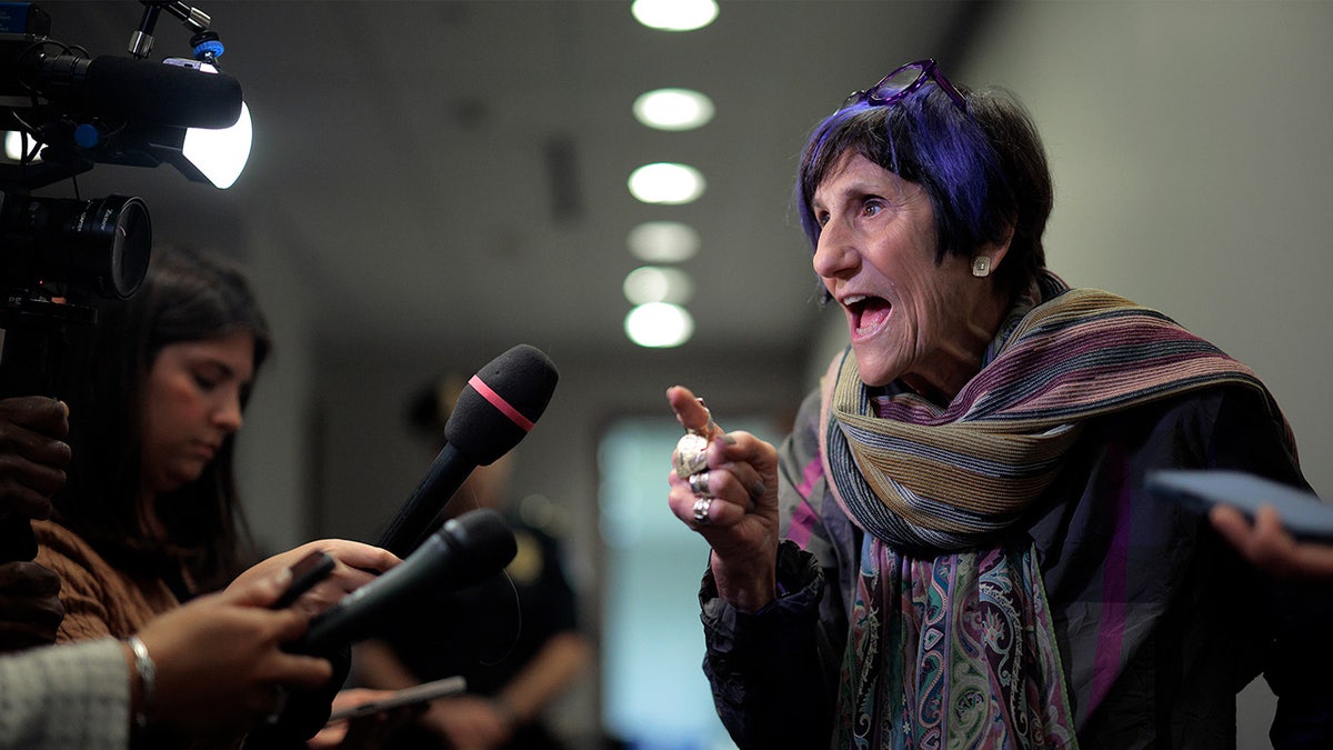 Rosa DeLauro speaks to members of the press
