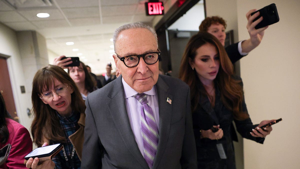 Senate Minority Leader Chuck Schumer, D-N.Y.