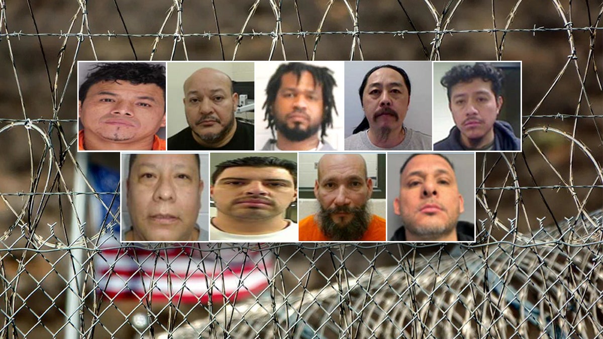 Mugshots of Homeland Security's 'worst of the worst' arrests from the last weekend in January 2026