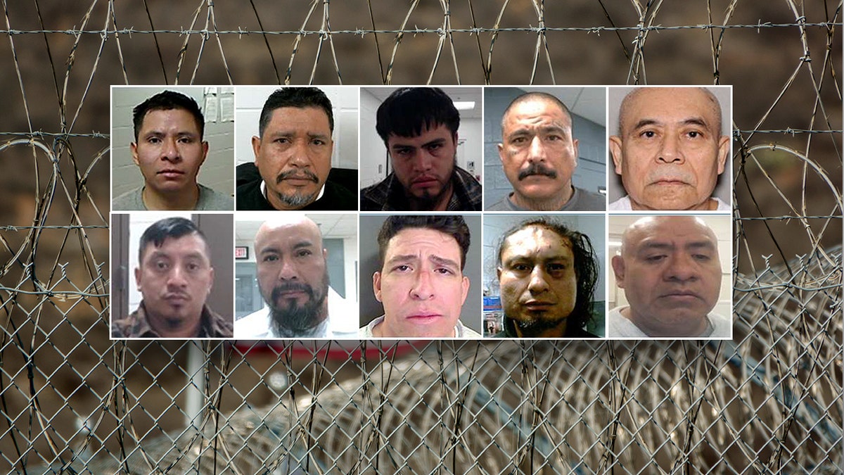Dept of Homeland Security's 'worst of the worst' criminal illegal aliens arrested by ICE