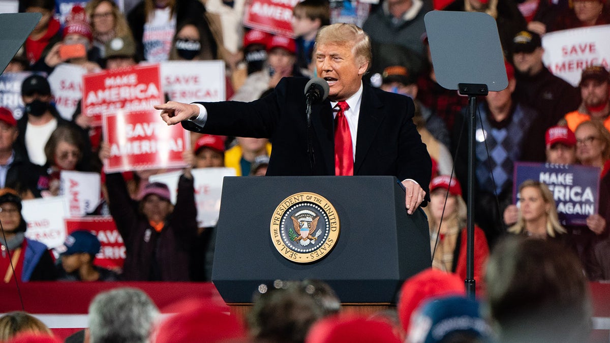Rally in Georgia