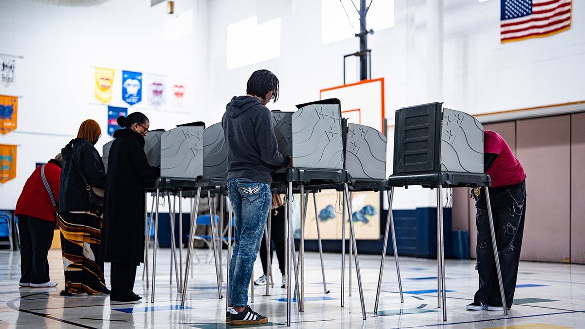 Voters at the polls