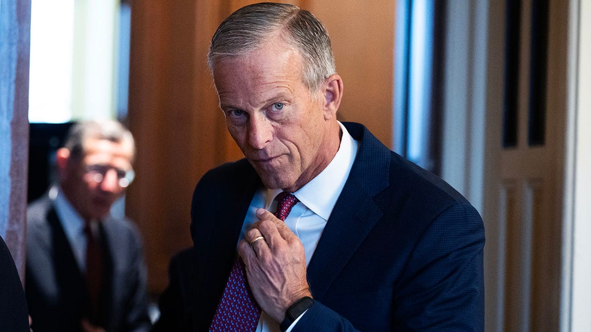 Senate Majority Leader John Thune, R-S.D.