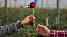 Fox News Poll: Beyond red vs. blue, finding me + you across the political divide