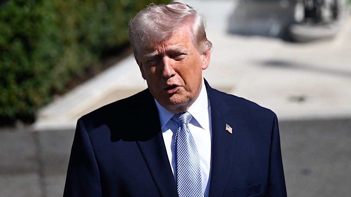 President Donald Trump speaking to media on the South Lawn of the White House