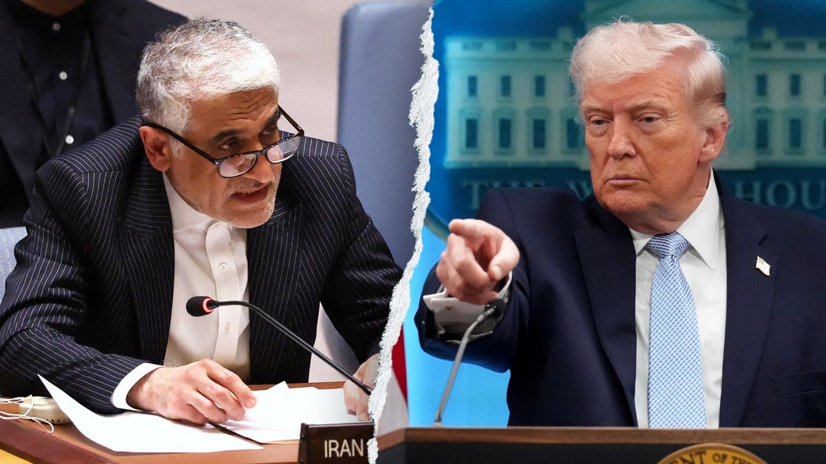 Amir-Saeid Iravani and President Donald Trump