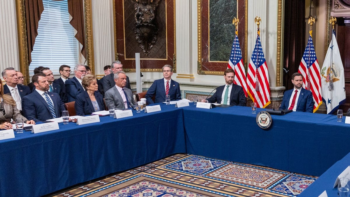 vance and cabinet fraud task force meeting