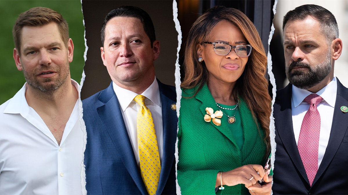 Swalwell, Gonzales, Sheila Cherfilus-McCormick and Cory Mills