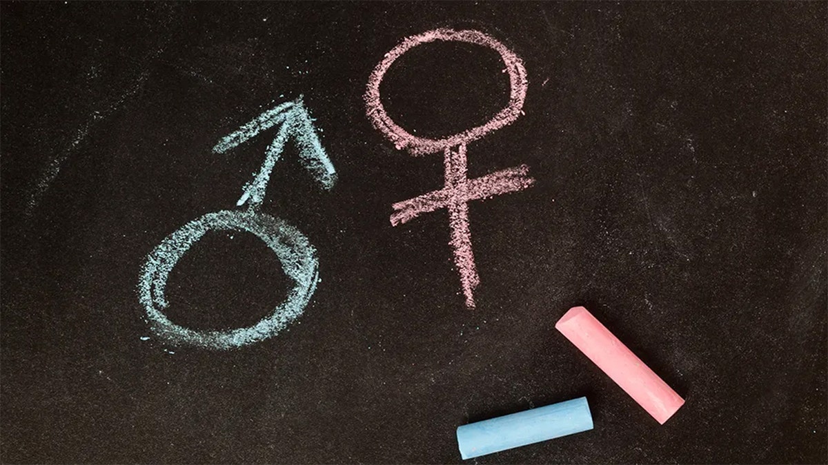 Male and female gender symbols drawn in chalk on a blackboard