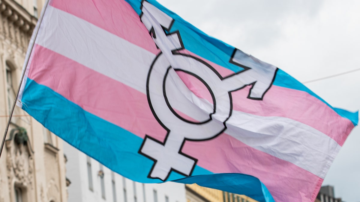 Alexander Pohl holding a transgender pride flag