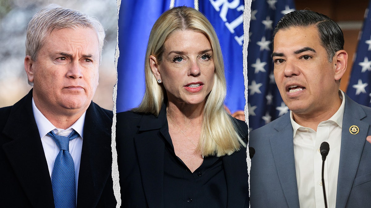James Comer, Pam Bondi, and Robert Garcia split