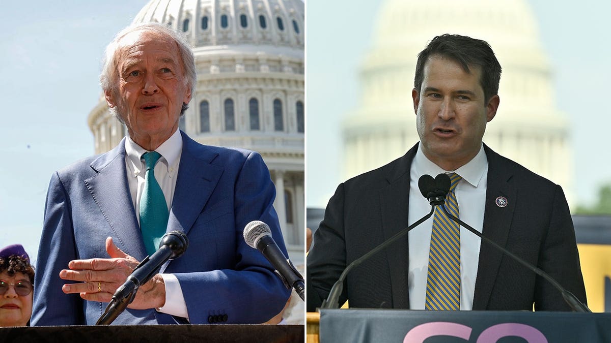 Split of Ed Markey and Seth Moulton