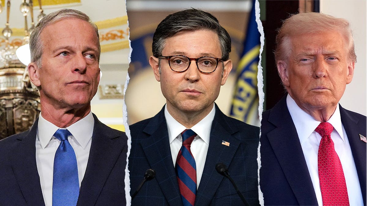 Split of Thune, Johnson, and Trump