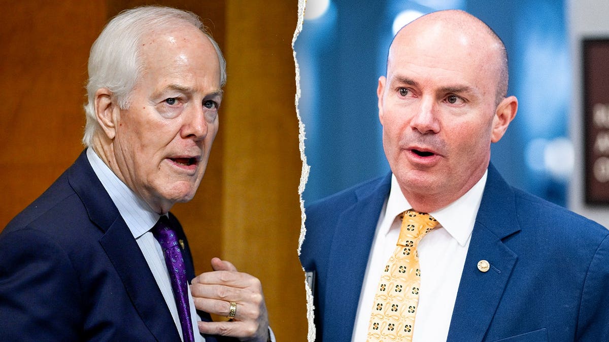 Split image of John Cornyn and Mike Lee