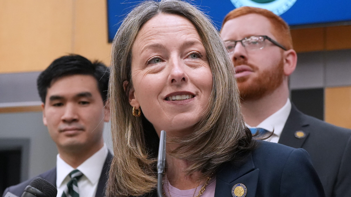 Rockland County Democratic Legislator Beth Davidson speaks at a press conference at the County Legislature in New City announcing a proposed law limiting ICE actions in Rockland County Feb. 2, 2026