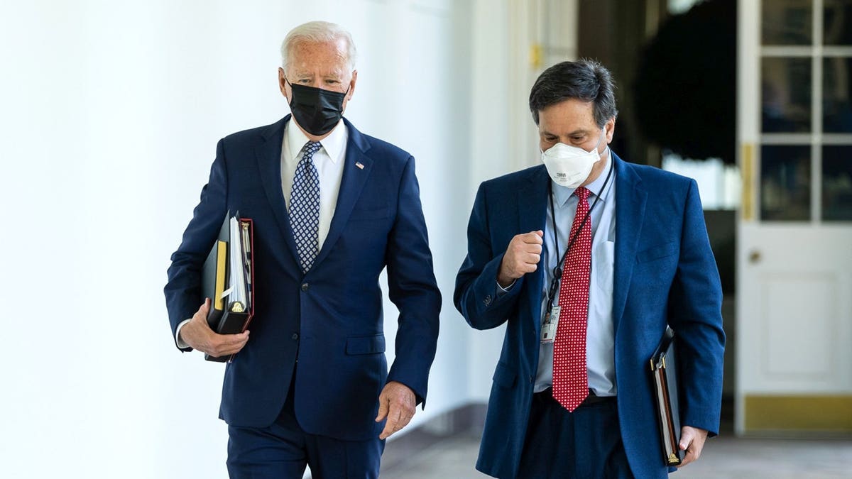 joe biden and ron klain