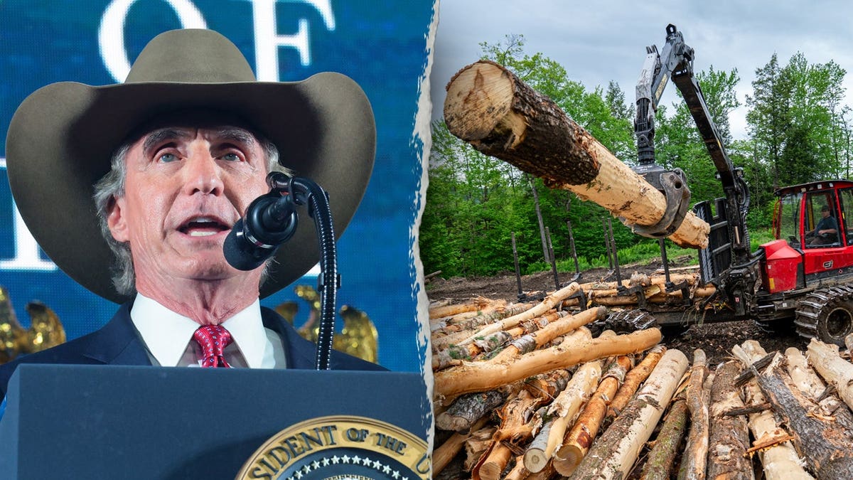 Burgum speaks in split image with logging scene