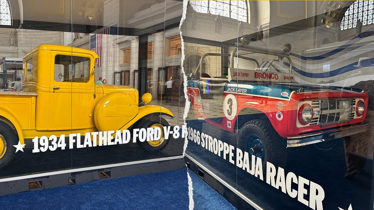 Ford Vehicles