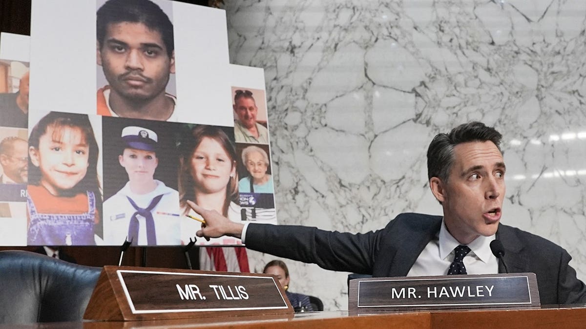 Josh Hawley speaking and pointing to a sign during a Senate committee hearing.