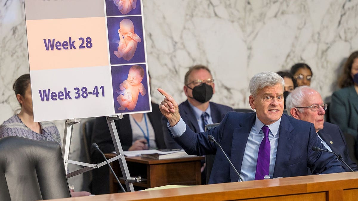 Sen. Bill Cassidy speaks during a Senate hearing while gesturing toward a display showing fetal development stages.
