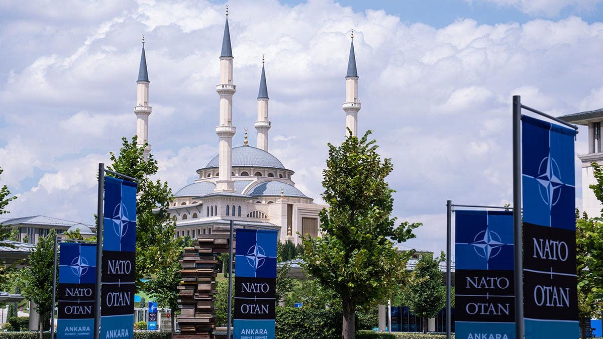 nato flag outside turkey summit