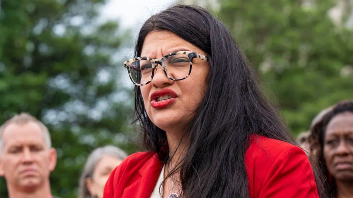 Rep. Rashida Tlaib speaking at the U.S. Capitol during remarks with activists