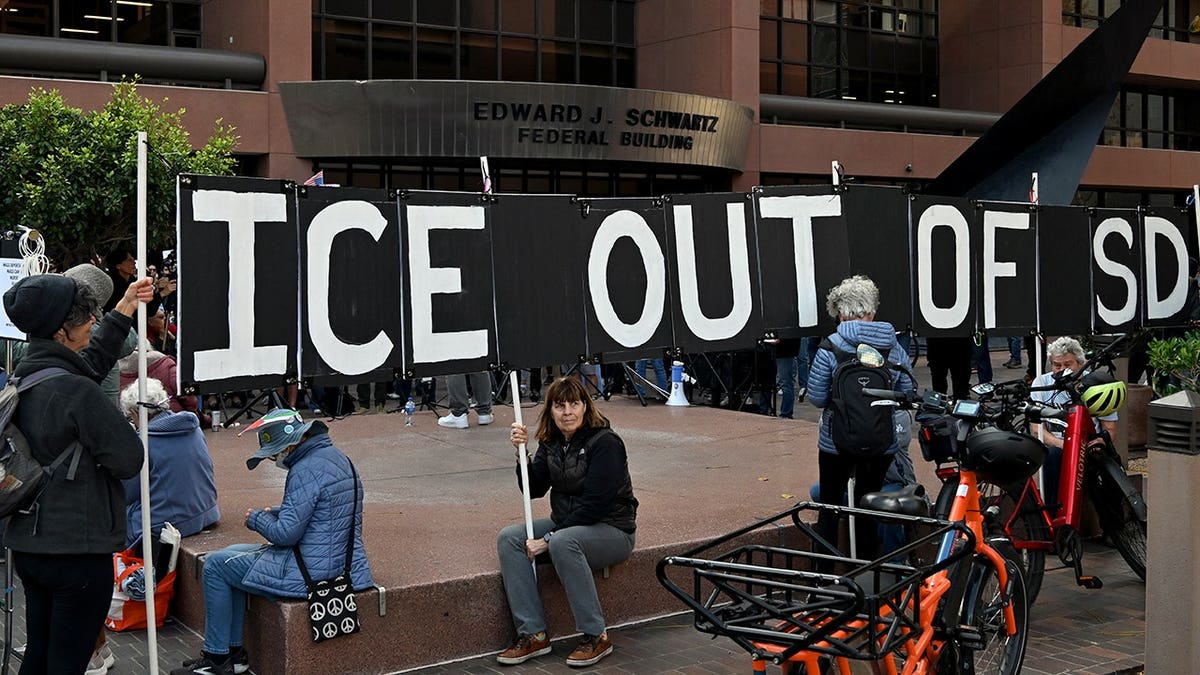 Anti-ICE Protesters in San Diego California