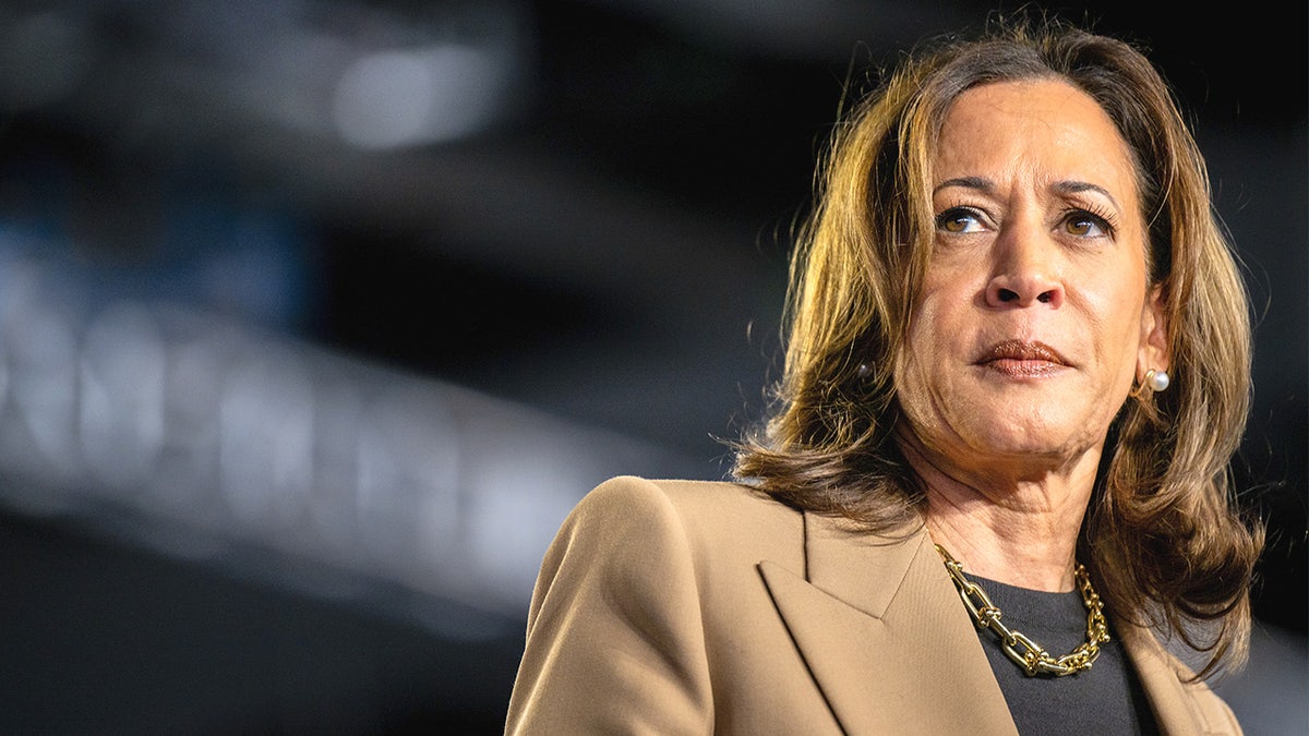 Vice President Kamala Harris speaks at a rally