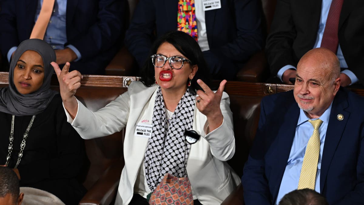 Rep. Rashida Tlaib wears an 