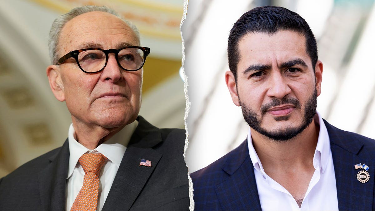 Split of Schumer and El-Sayed