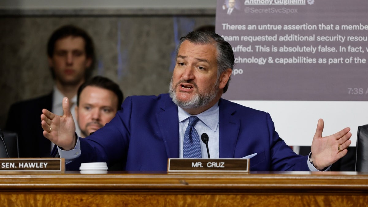 ted-cruz-hearing