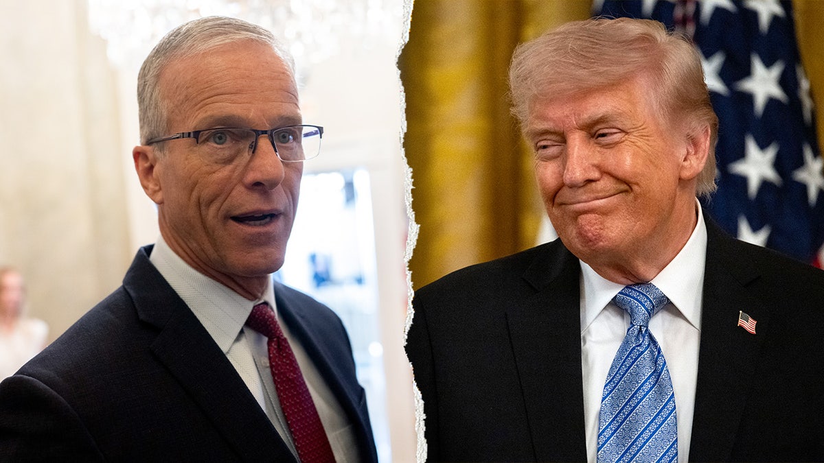 Thune and Trump