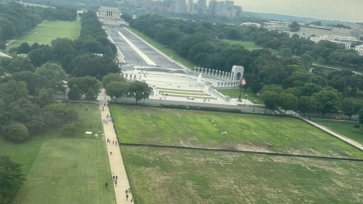 President Donald Trump blamed vandals for patchy grass on the National Mall